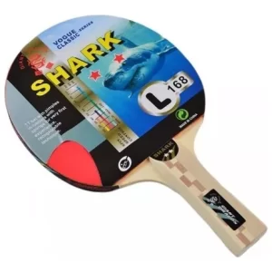 Paleta De Ping Pong Giant Dragon Shark 2 Estrellas